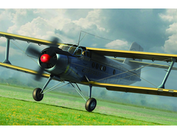 Сборная модель: (Hobby Boss 81707) Советский самолёт АН-2М