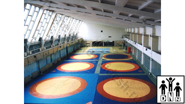 борцовские коверы