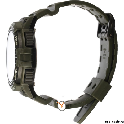 Часы Casio WS-1200H-3AVEF