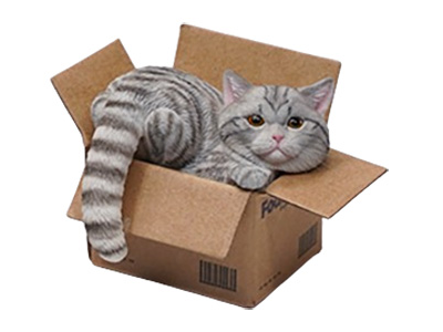 Котик в коробке (серый) - Коллекционная ФИГУРКА 1/6 scale The Cat In The Delivery Box 3.0 (JS2305C) - JXK