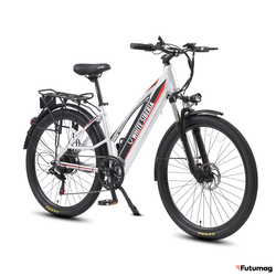 Электровелосипед WHITE SIBERIA CAMRY LIGHT 500W матовый серебристый