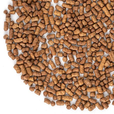 Чай Гречишный Ку Цяо (гранулированный) темный