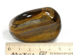 Тигровый глаз, полировка, ЮАР (52*35*25 мм, 89 г) №29561