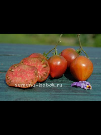 Томат Сердце Линнея (Linnaeus Heart), 10 шт