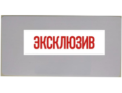 RFID метка UHF   50х100 UHF, UCODE8, paper adhesive (46x46)