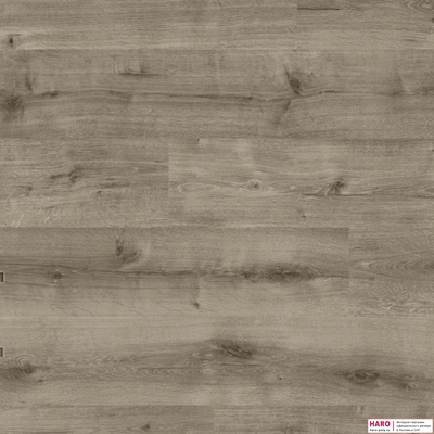 Ламинат Haro Daily Edition Дуб Калла Серый 541345 32 класс толщина 8 мм с фаской 1.98 м2