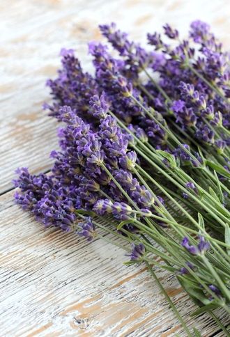 LAVENDER BULGARIA EO (100% ЭФИРНОЕ МАСЛО ЛАВАНДА БОЛГАРСКАЯ) БОЛГАРИЯ