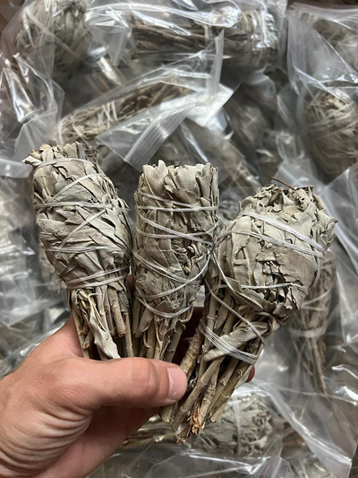 Белый шалфей - Факел 35-50 гр.