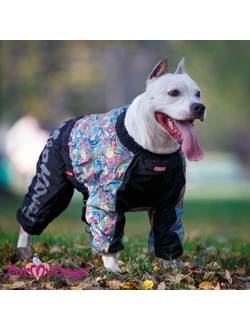 Комбинезон для больших собак Бута мультиколор