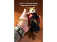 Сиба-ину Самурай - Коллекционная ФИГУРКА 1/6 Mr.Z 7" Pocket Zootopia Collection-Series No.7 Shiba Inu samurai Daifuku (PZCS018+)