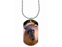 Жетон Капибара, Kapibara-san №14