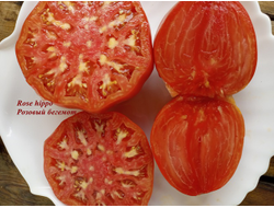 Томат Rose Hippo (Розовый бегемот)