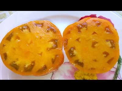 Томат Kozula 179 (Zebra Zolta /Volta , Польша)