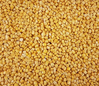 Зерно кукурузы замороженное купить от 1 кг в Новосибирске с доставкой