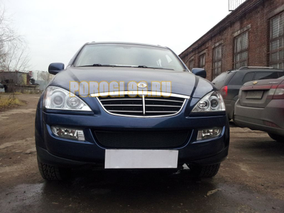 Защита радиатора Ssang Yong Kyron 2006- black