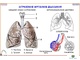Человек и его здоровье. Дыхание (10 шт), комплект кодотранспарантов (фолий, прозрачных пленок)