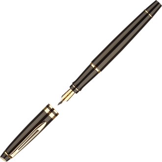 Ручка перьевая WATERMAN EXPERT S0951640 черный корпус, синие чернила 0,5мм