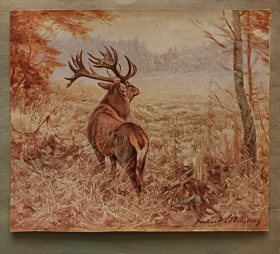 "Кабаны в зимнем лесу" фототипия 1920-е годы