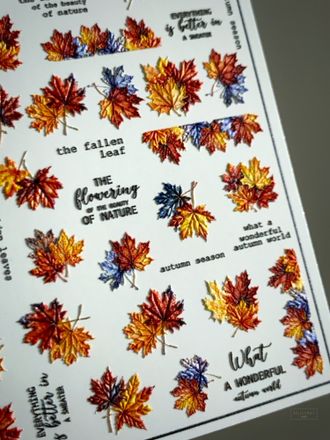 4D слайдер-дизайн на любой фон 4D-022