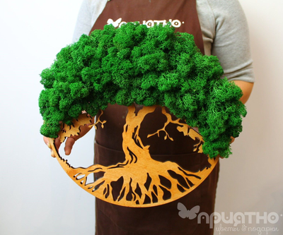 Живая Эко-Картина 1070