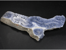 Коралл голубой Акори, Австралия (106*39*15 мм, 56 г) №37712