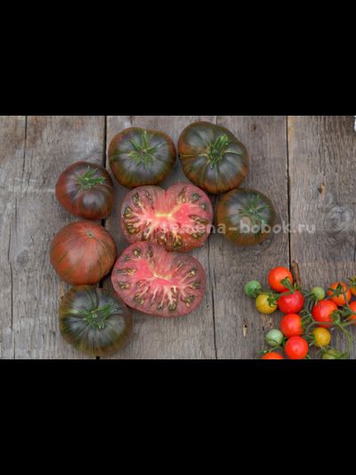 Томат Dwarf The Thong (Гном Тонг), 10 шт