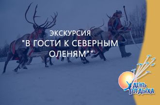 Экскурсия &quot;В гости к северным оленям&quot;