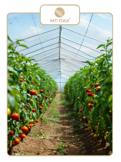 Пленка полиэтиленовая для парника и теплицы 4м*100м 150 мкм купить