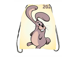 Сумки-мешки для обуви год Кролика