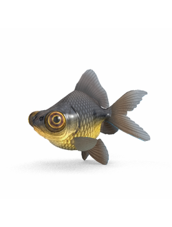 рыбы Демекин телескоп