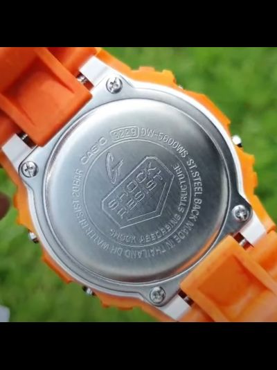 Часы Casio G-Shock DW-5600WS-4