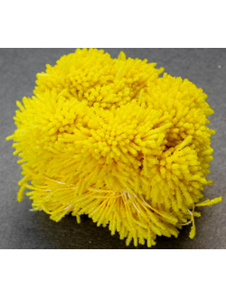 Тычинки Сахарные около 85 нитей , цвет желтый