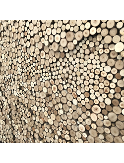 Деревянные спилы для интерьера