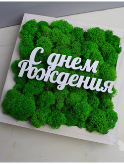 Живая Эко-Картина "C Днем Рождения" 1081