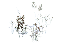 MiniWarPaint: Зимние ветки. Размер "M"