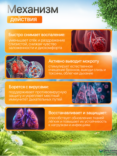 Нейробронхус с исландским мхом и восковой молью