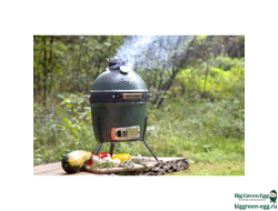 Гриль керамический BIG GREEN EGG MINI, 117618