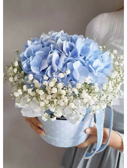 Коробка с гортензией и гипсофилой