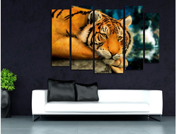 Модульная картина "Грустная кошка"