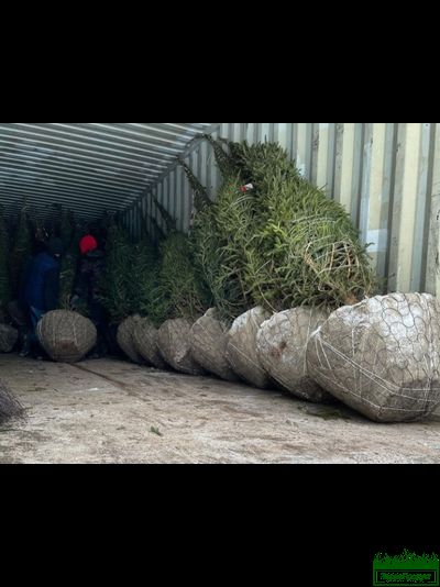 Сетка для кома Ромашка d1400х1,67мм (упаковка 10 шт.)