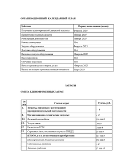 Профессиональный расчет финансового план для бизнес-плана под выплату от  ЦЗН