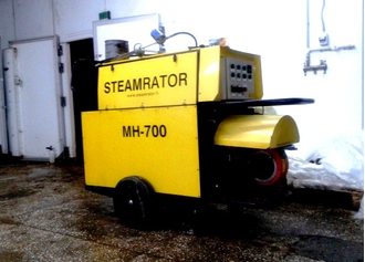 Парогенератор Steamrator МН-700 фото