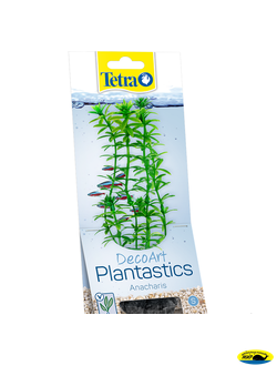 270176 Растение аквариумное Anacharis 1(S) 15см с утяжел.