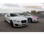 Свадебный Кортеж автомобилей Jaguar XJ и XF.