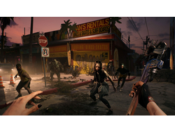 Игра Dead Island 2 (PS4)