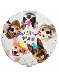 18* Круг С ДР Собачки фотографичные