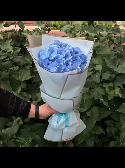 Моно-букет из гортензии (цвет на выбор)