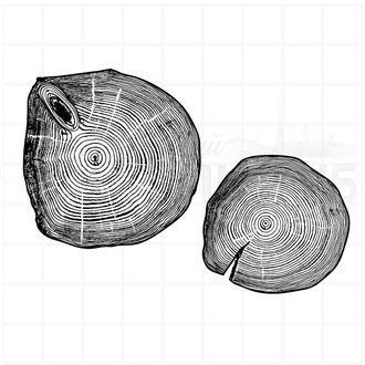 Штамп древесный спил ствола с трещиной