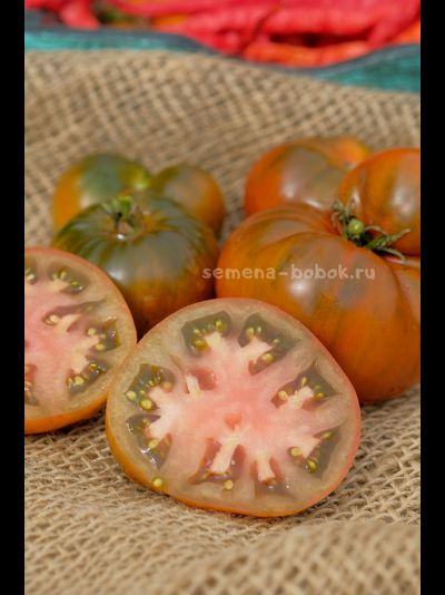 Томат Dwarf Chocolate Champion (Гном Шоколадный Чемпион), 10 шт