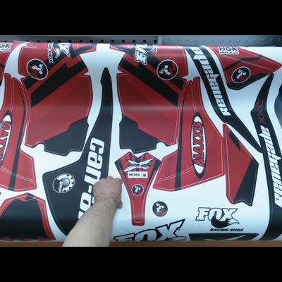 Can-am BPR Renegade #769